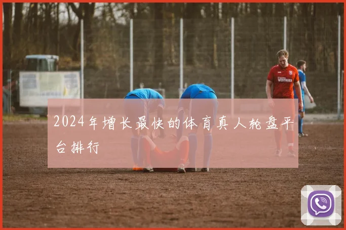 2024年增长最快的体育真人轮盘平台排行